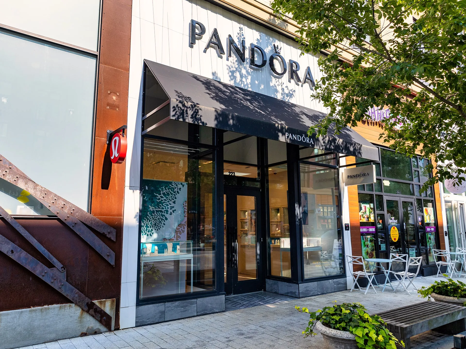 Pandora Pandora
